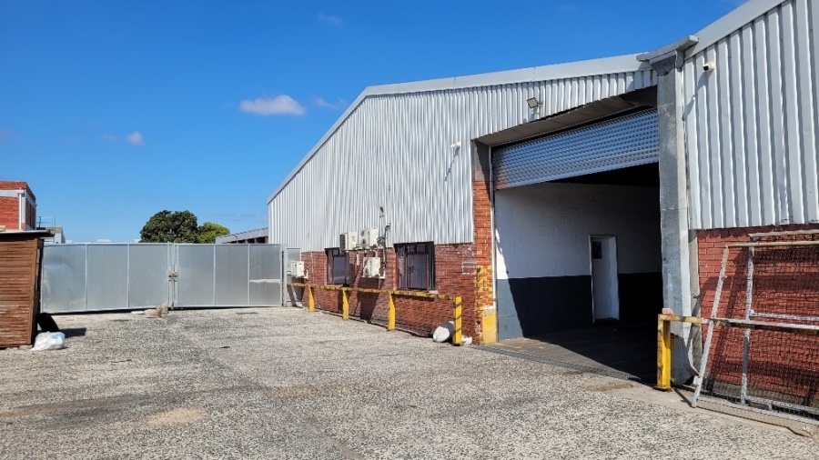 To Let commercial Property for Rent in Epping Industrial Western Cape